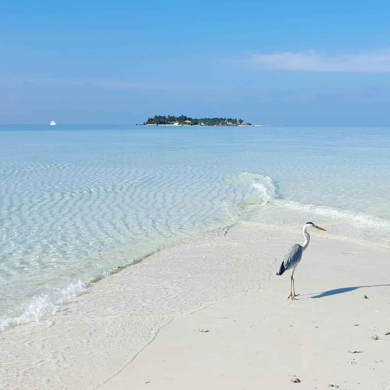 Ukulhas Villa Beach Hotel Buitenkant foto